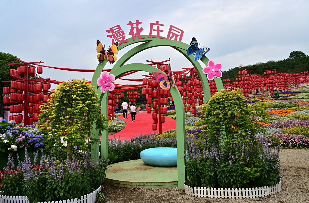 DSC_2698_����.jpg