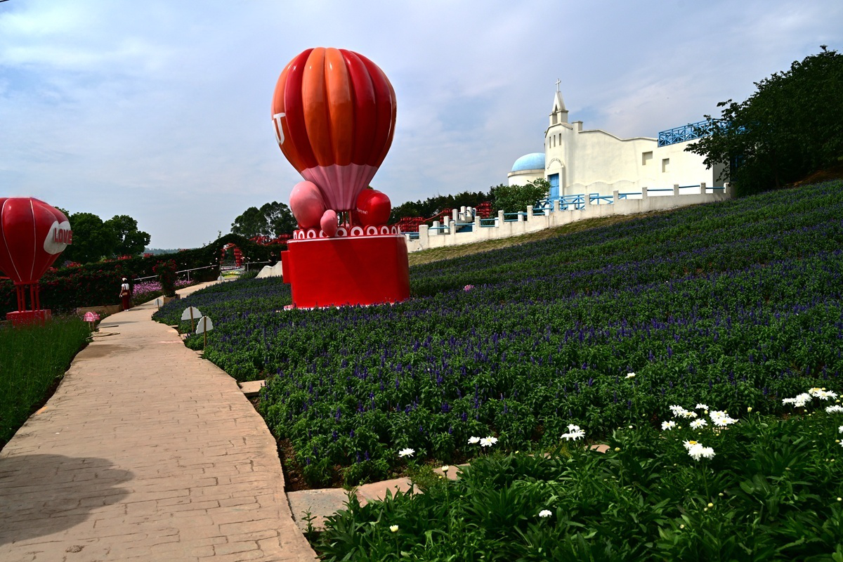 DSC_2715_����.jpg