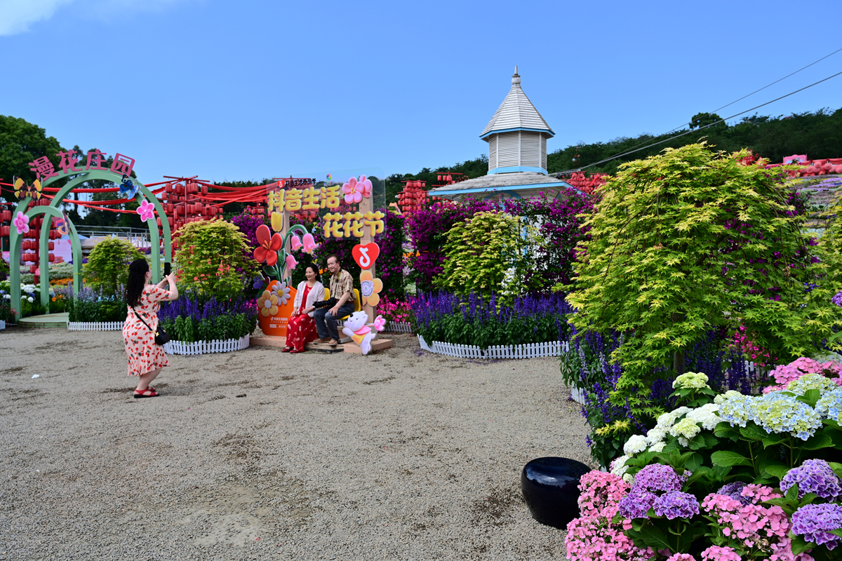 DSC_2731_����.jpg