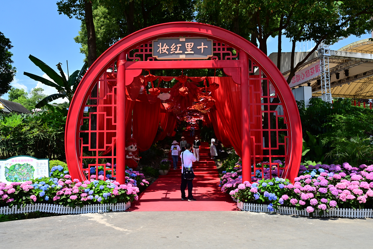 DSC_2748_����.jpg
