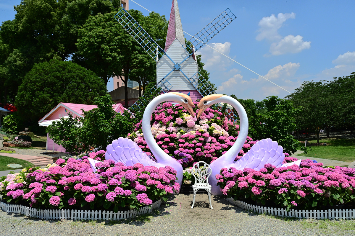 DSC_2750_����.jpg