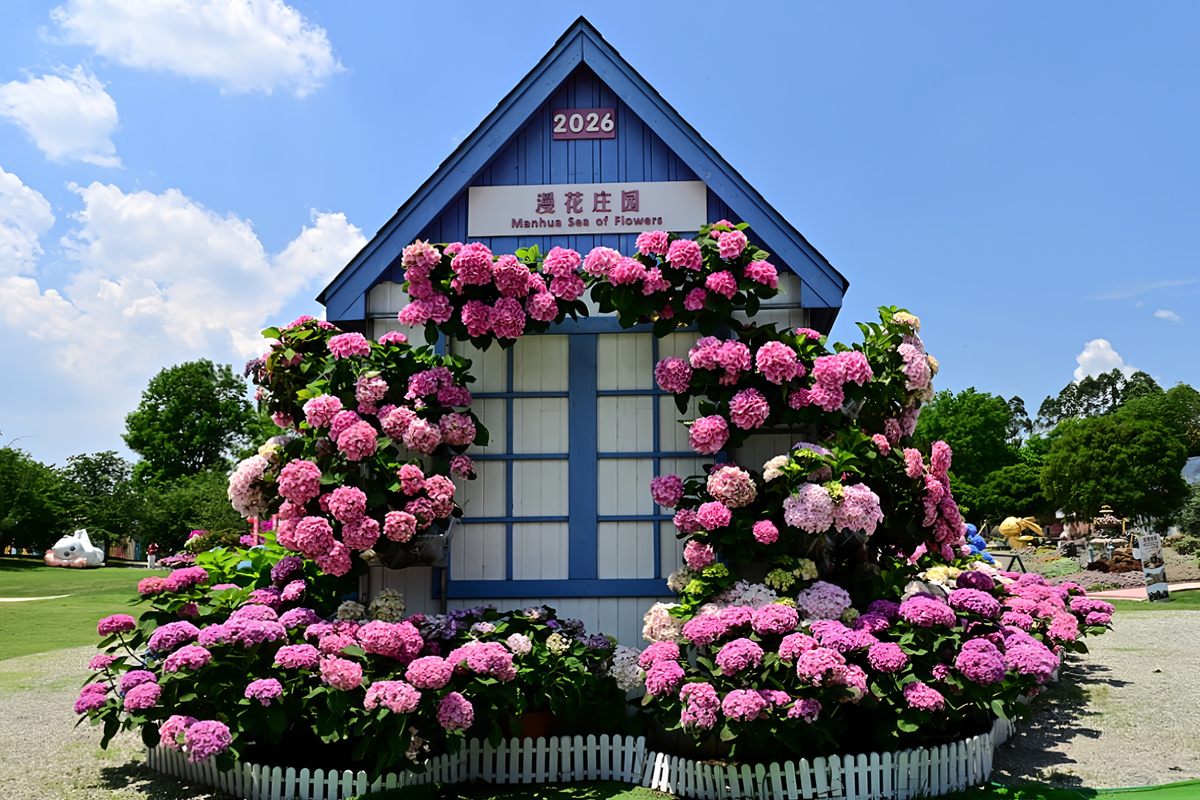 DSC_2753_����.jpg