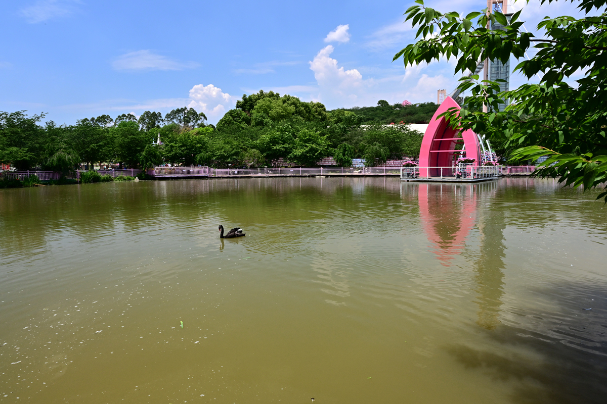 DSC_2761_����.jpg