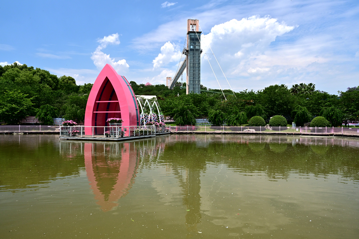 DSC_2764_����.jpg