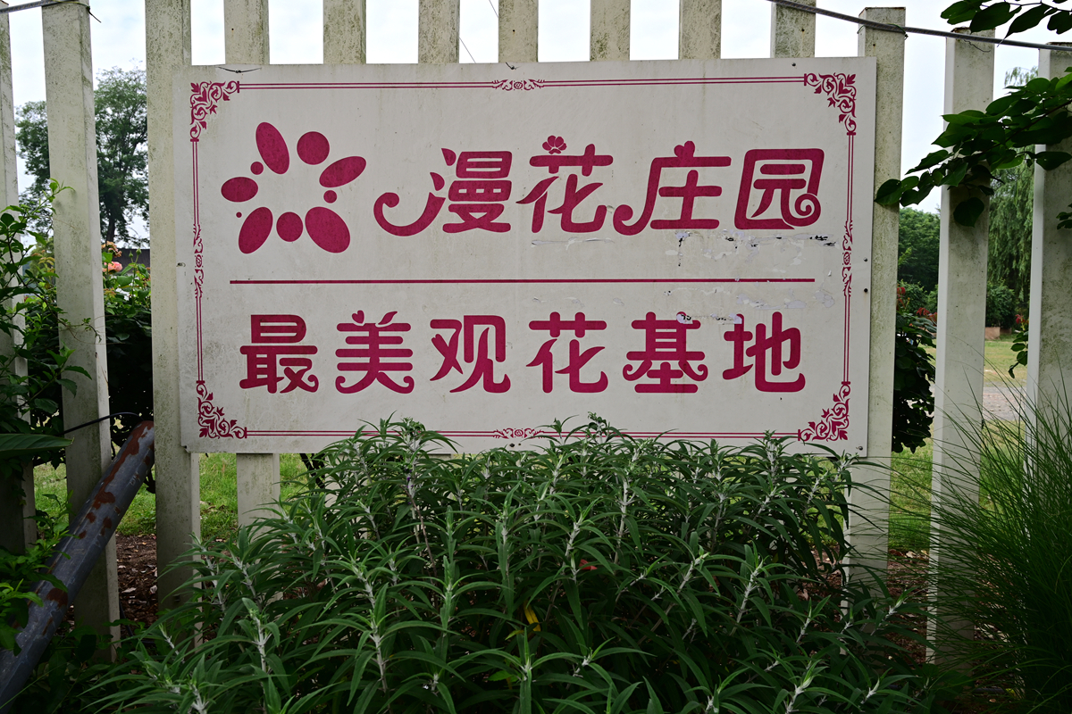 DSC_2613_����.jpg