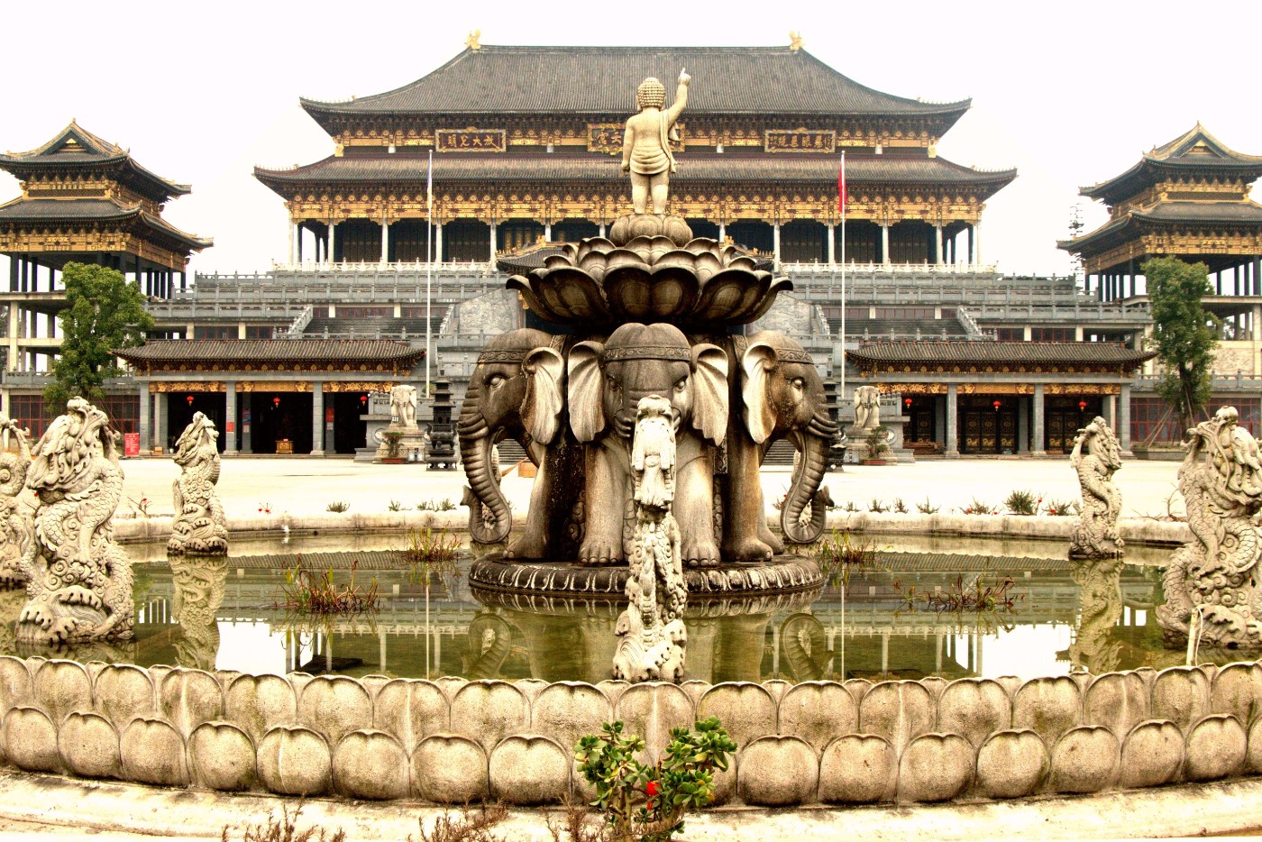 P1037808_����.jpg