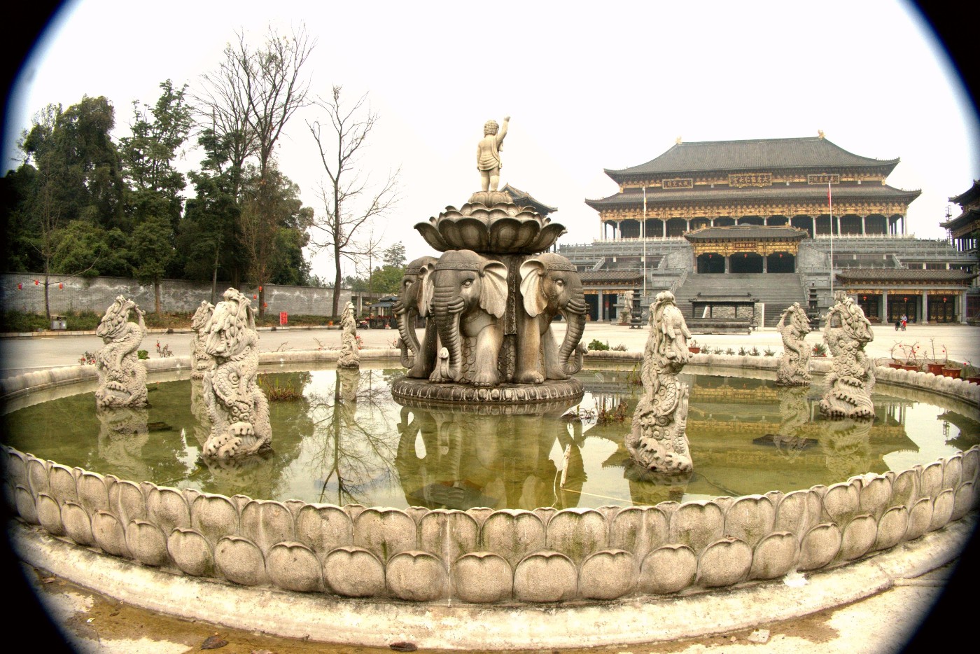 P1037811_����.jpg