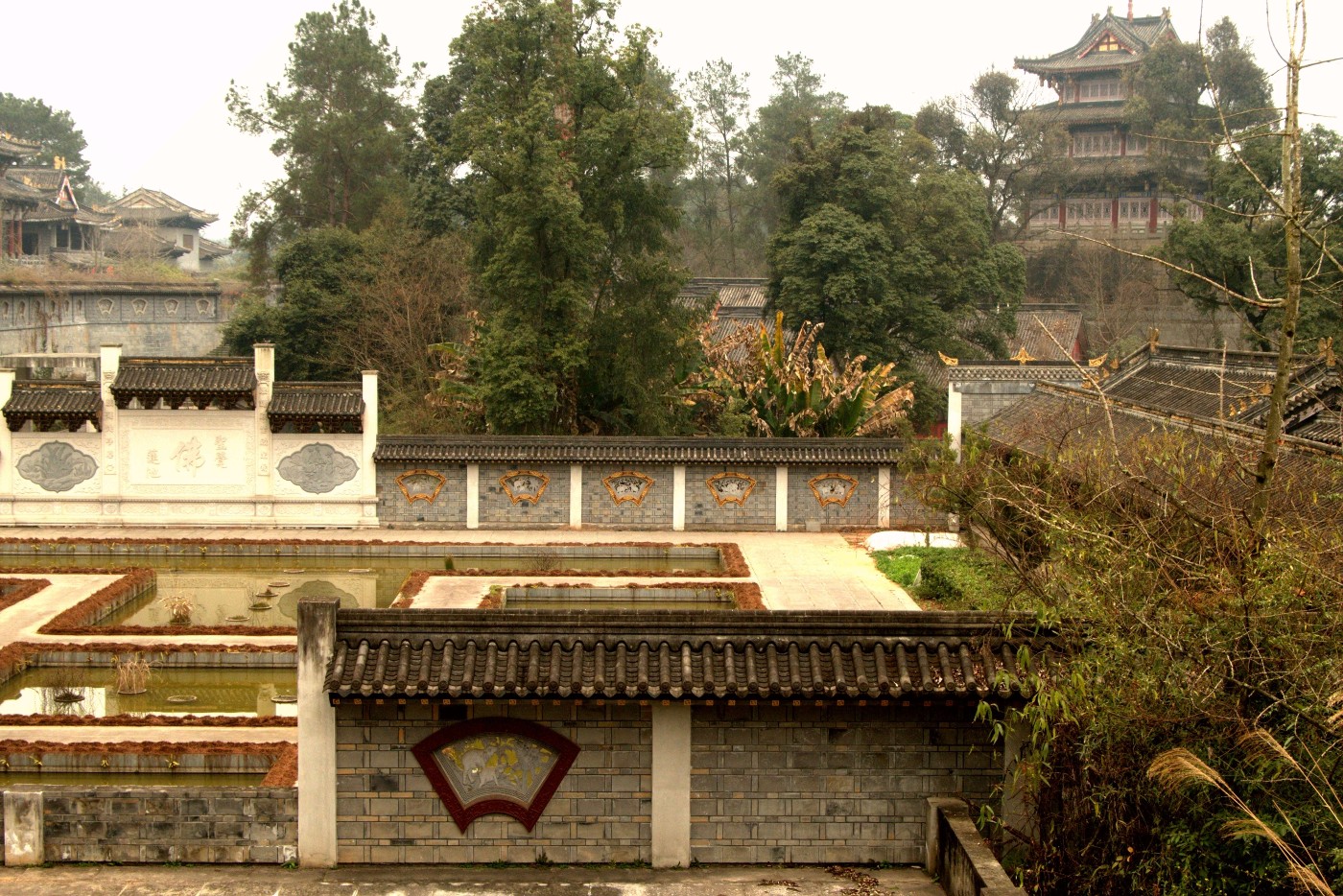P1037848_����.jpg