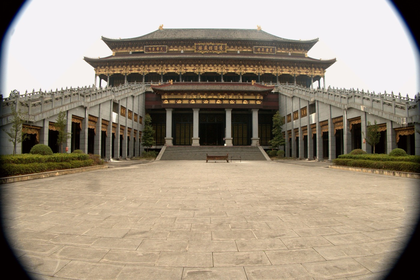 P1037844_����.jpg