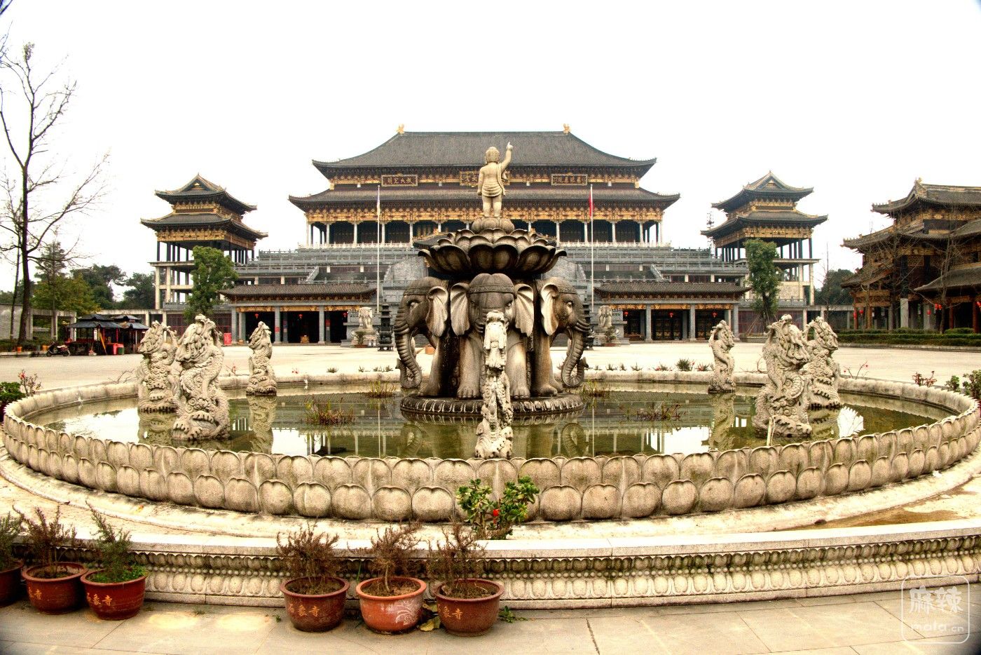 P1037807_����.jpg