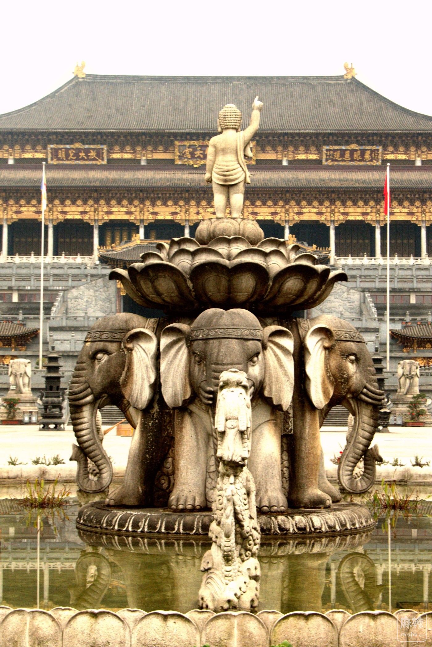 P1037810_����.jpg