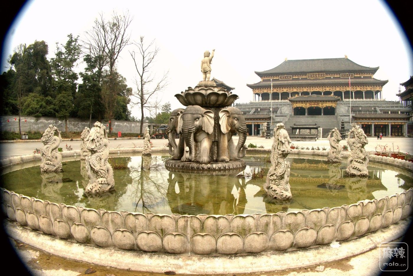 P1037811_����.jpg