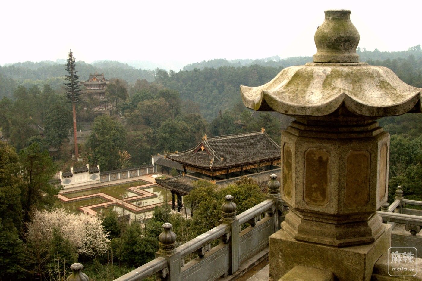 P1037837_����.jpg