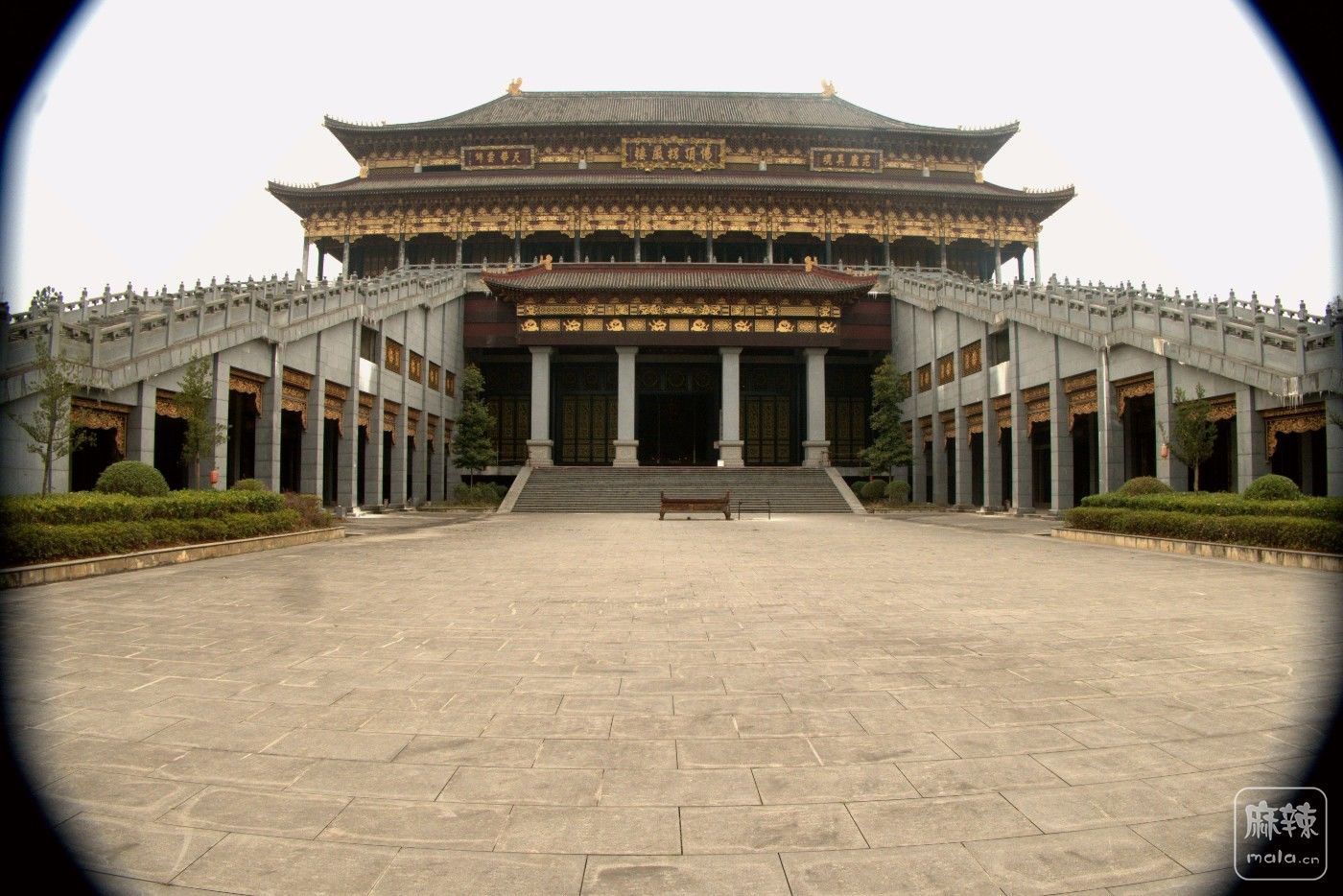 P1037844_����.jpg