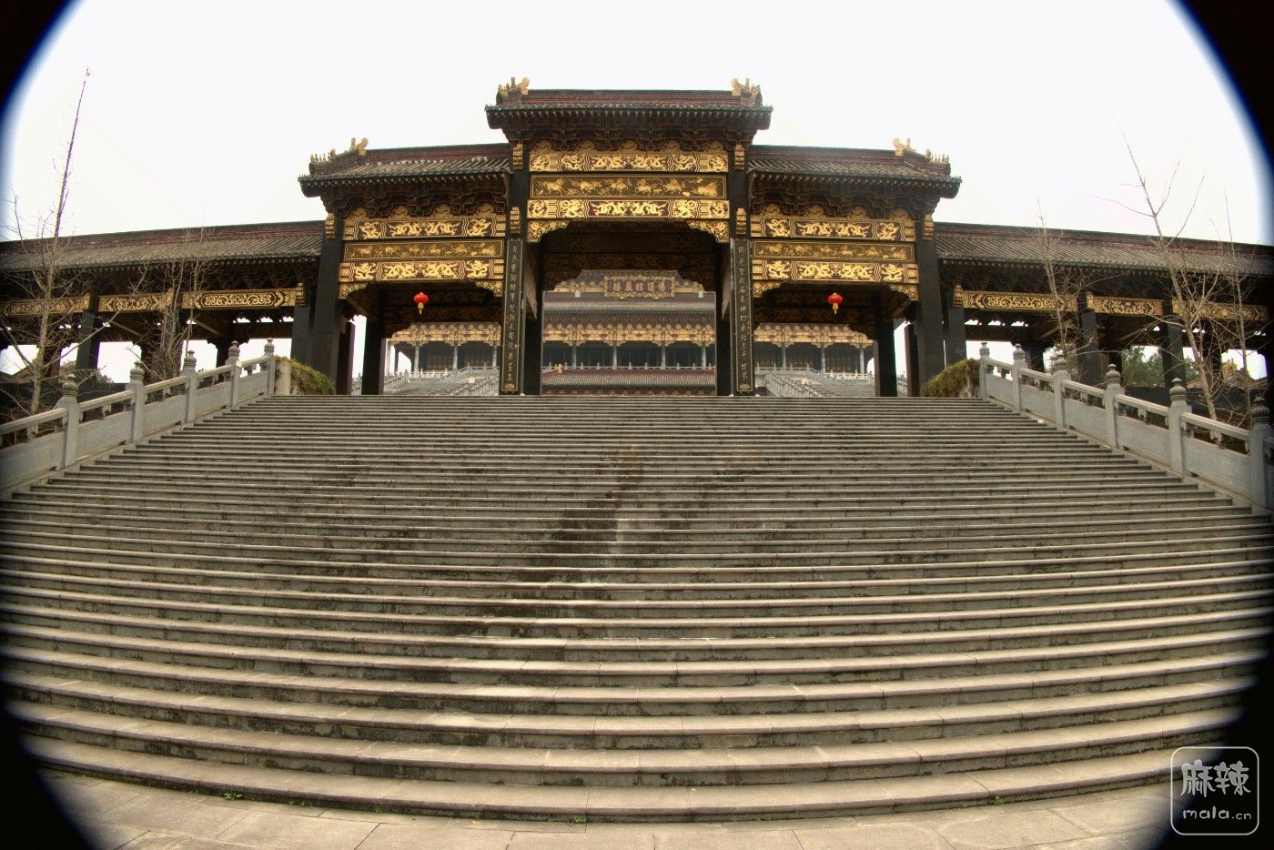 P1037846_����.jpg