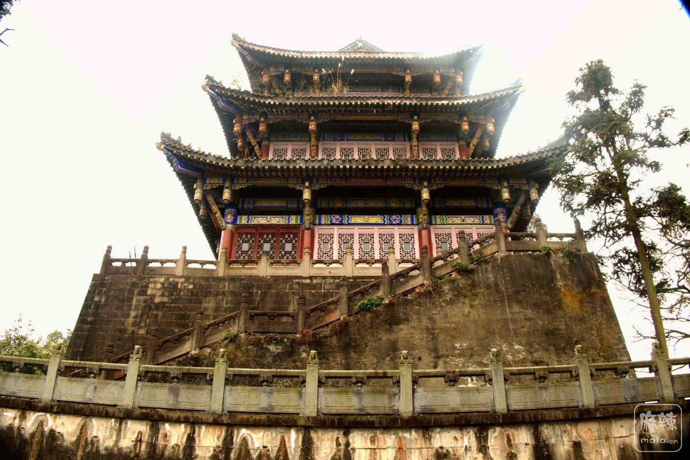 P1037849_����.jpg