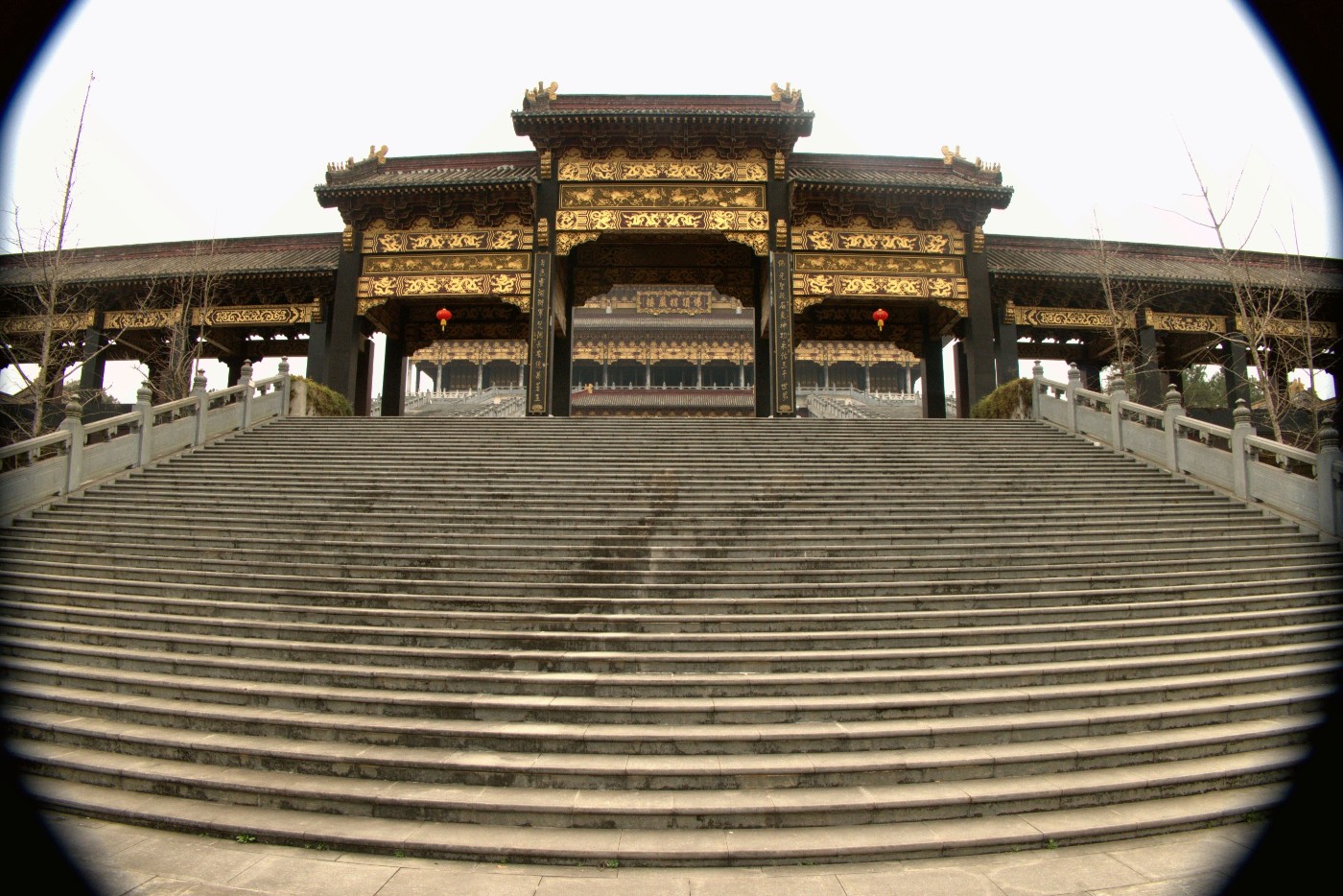 P1037846_����.jpg