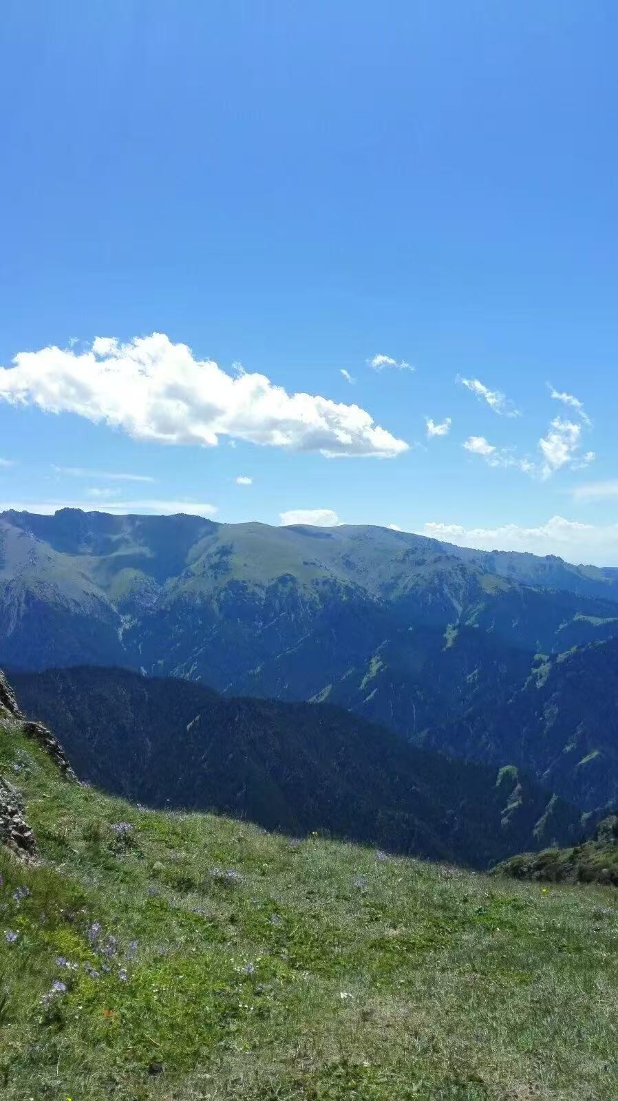 ΢��ͼƬ_20260521115240_1275_2.jpg