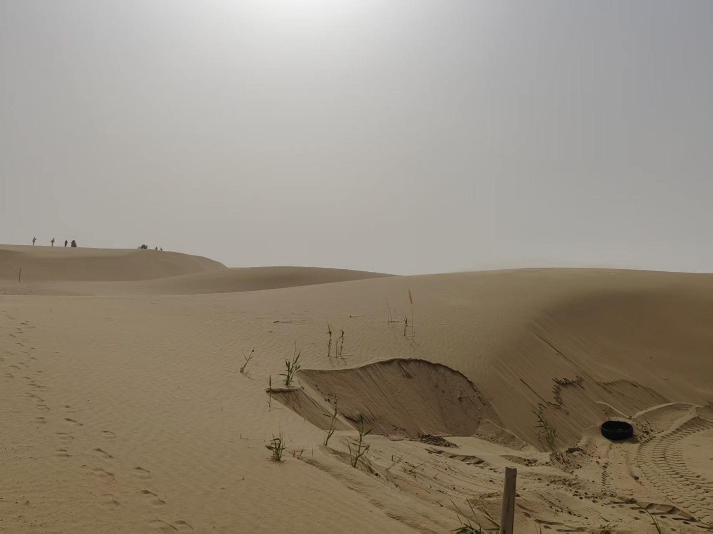 ΢��ͼƬ_20260521181223_1427_2.jpg