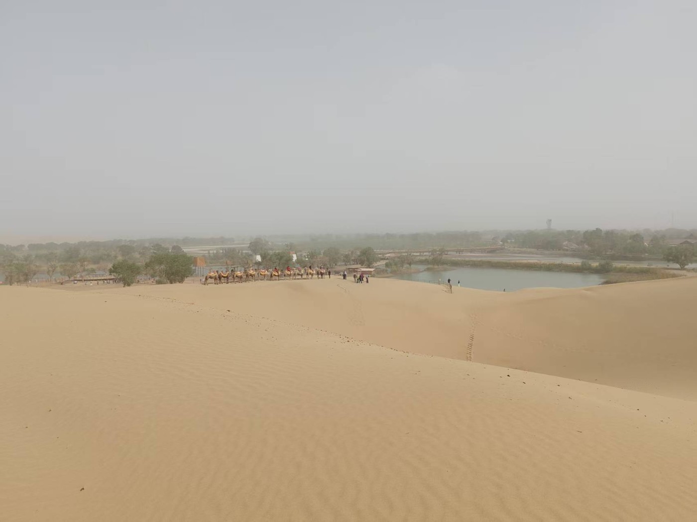 ΢��ͼƬ_20260521181222_1425_2.jpg