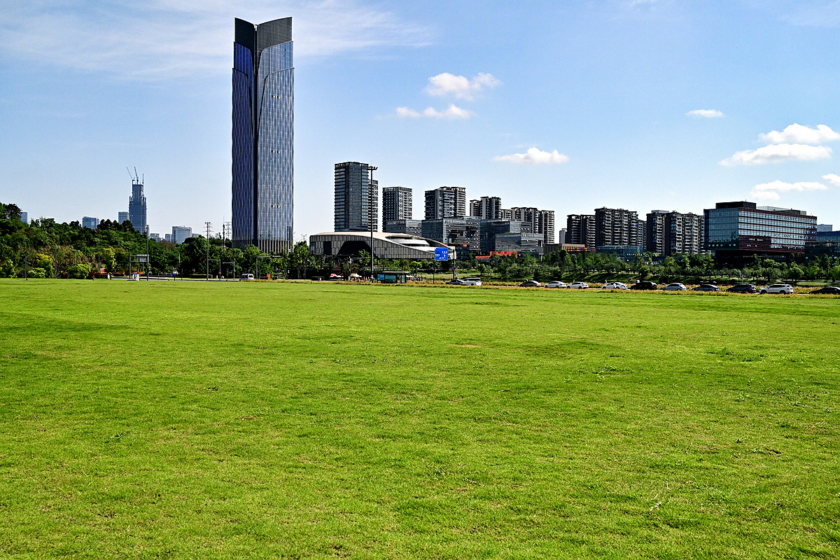 DSC_2400_����.jpg