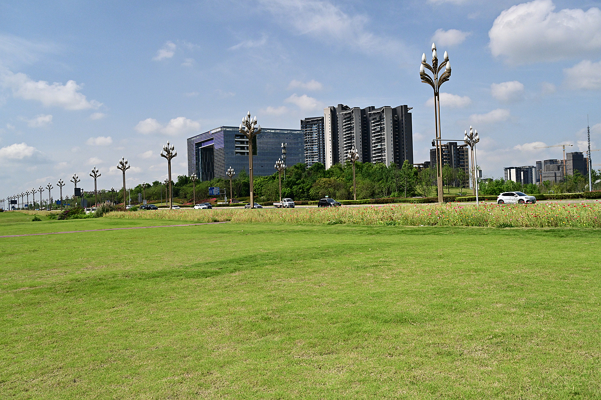 DSC_2403_����.jpg