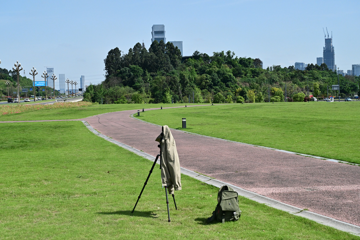 DSC_2405_����.jpg