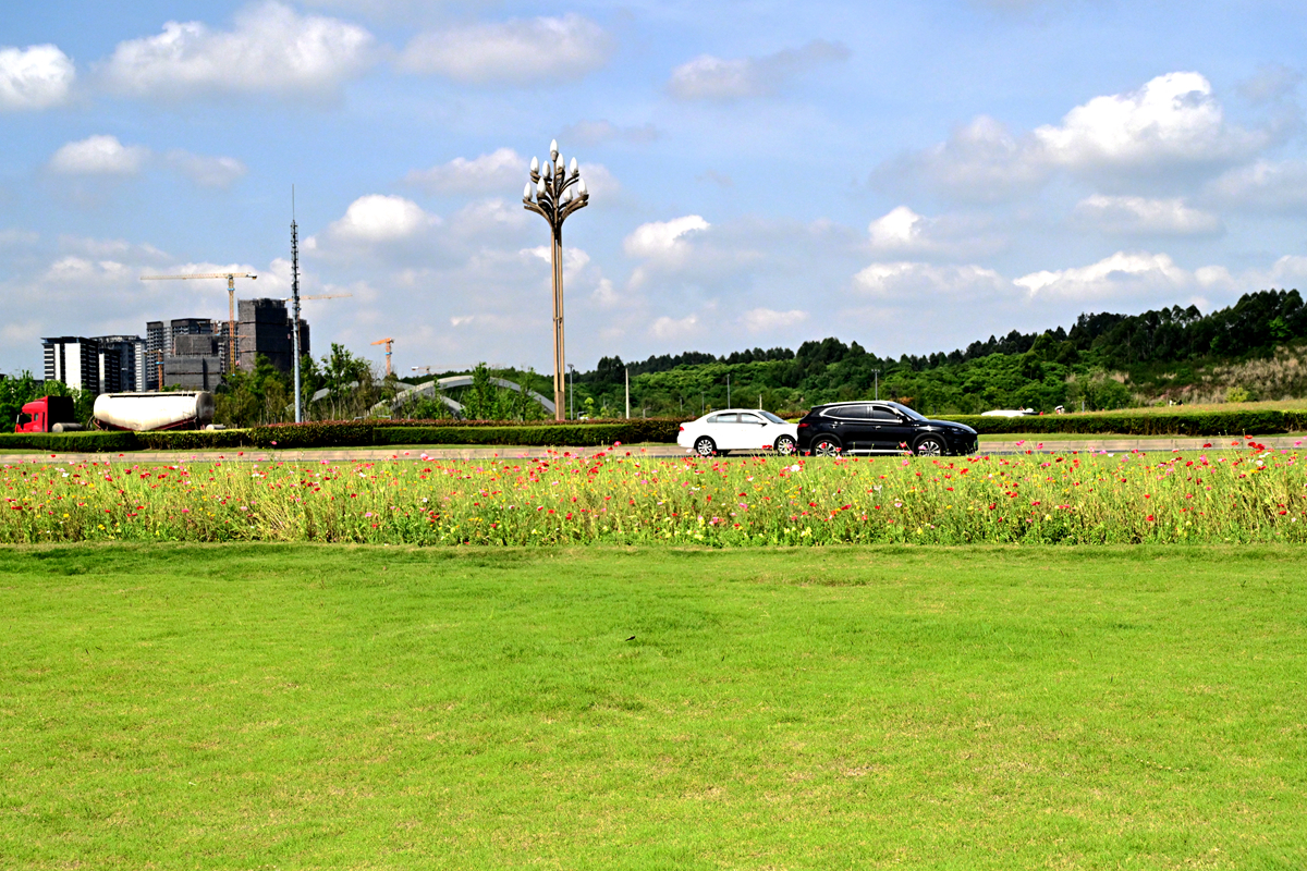 DSC_2407_����.jpg
