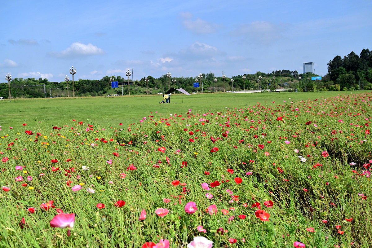 DSC_2412_����.jpg