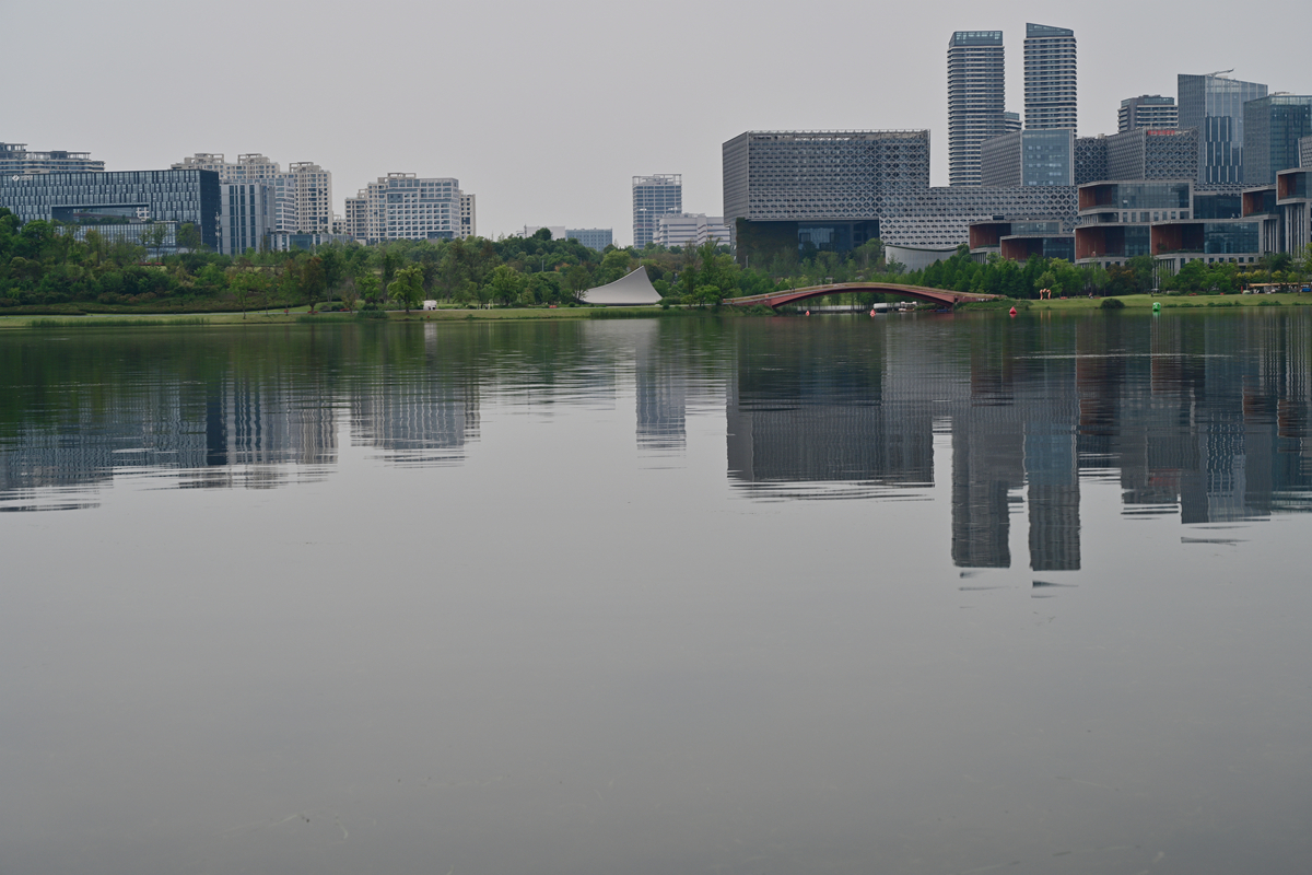 DSC_2451_����.jpg