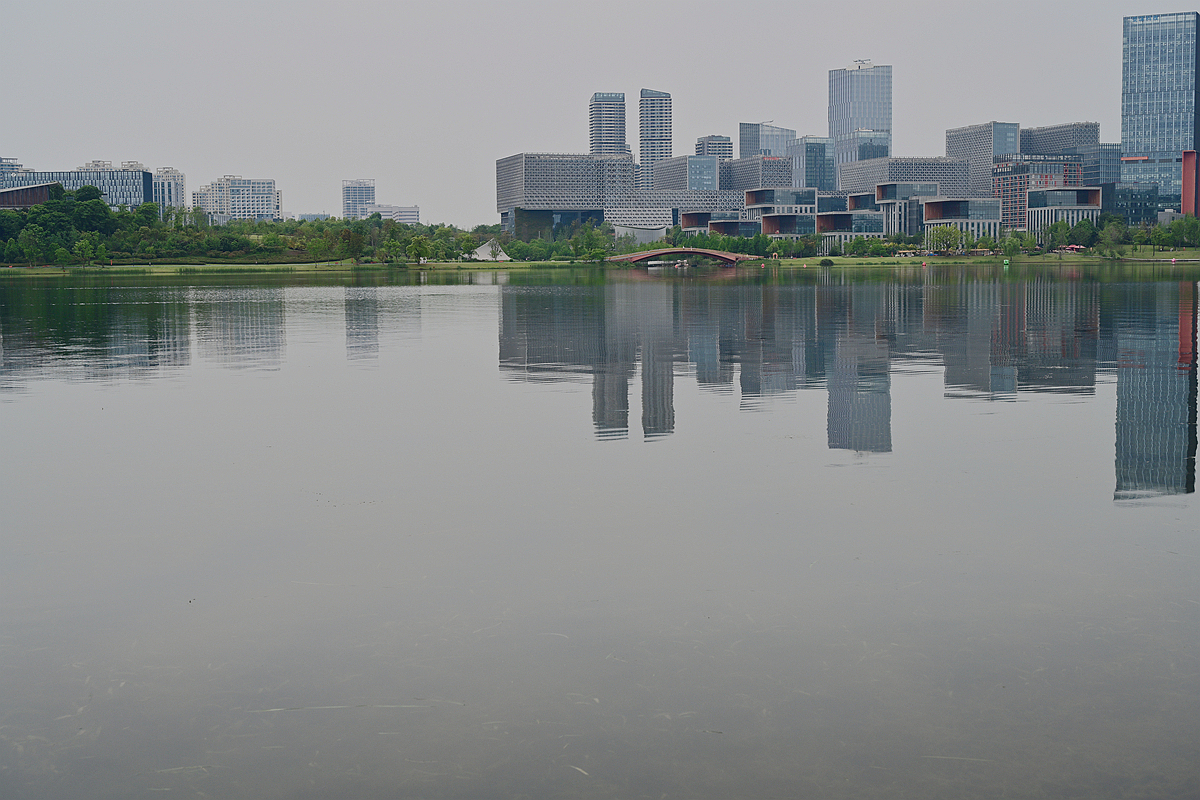 DSC_2456_����.jpg