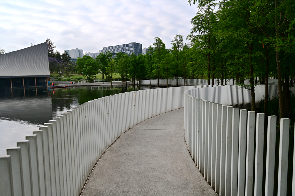 DSC_2795_����.jpg