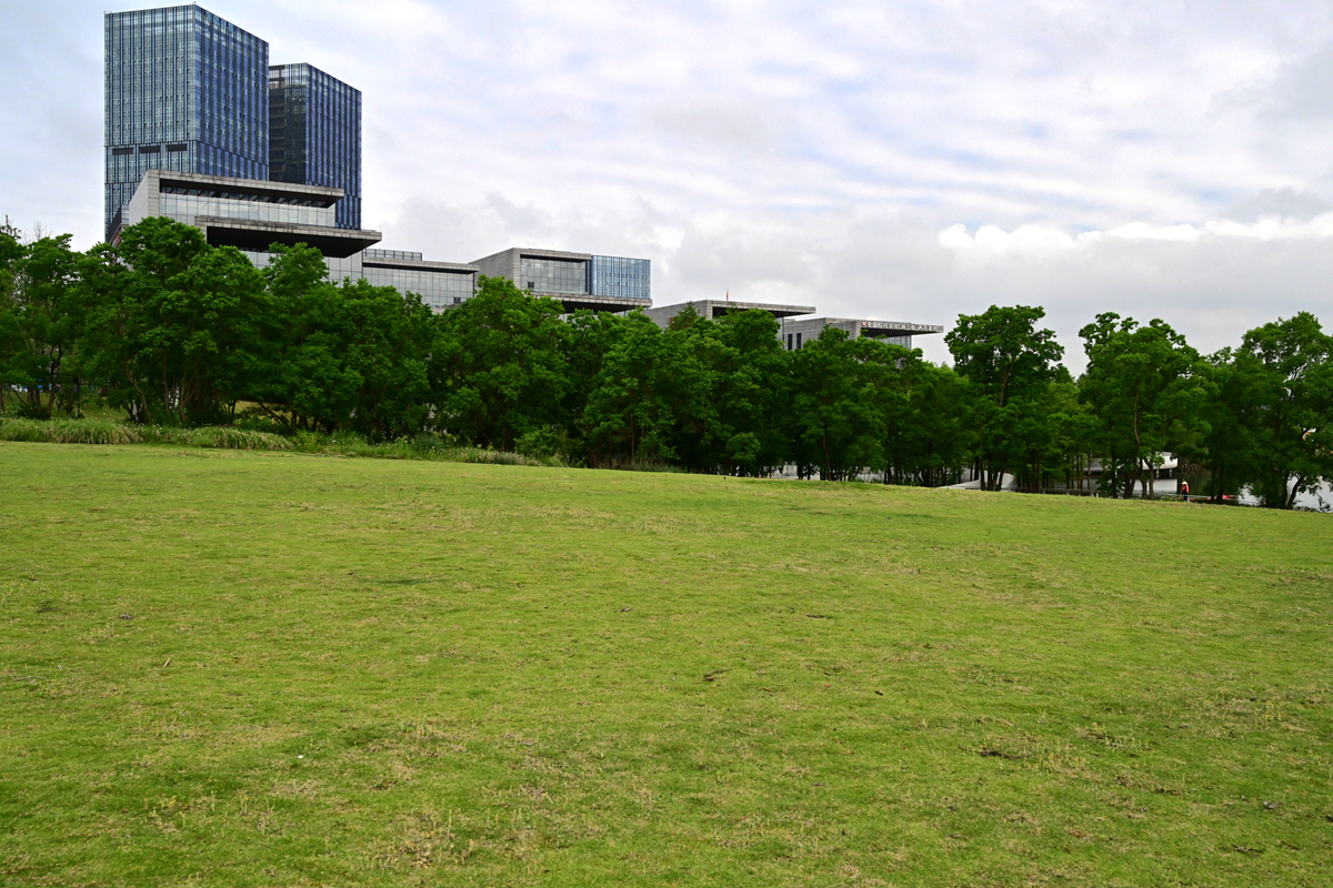 DSC_2811_����.jpg