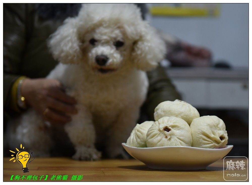 DSC_9174.jpg