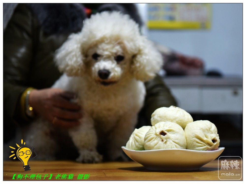 DSC_9173.jpg