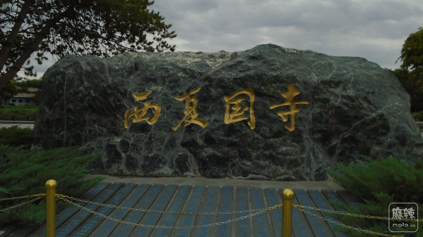 DSC01409.JPG