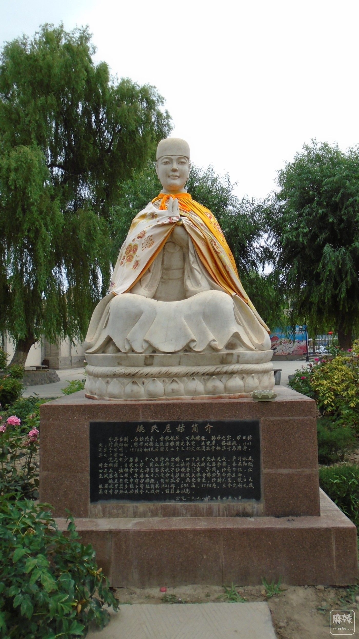 DSC01461.JPG