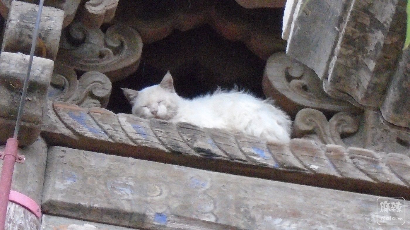DSC01493.JPG
