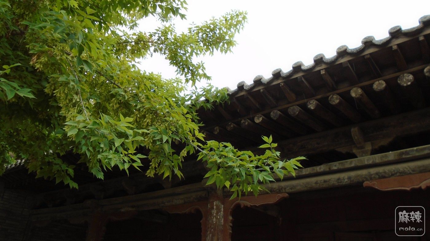 DSC01497.JPG