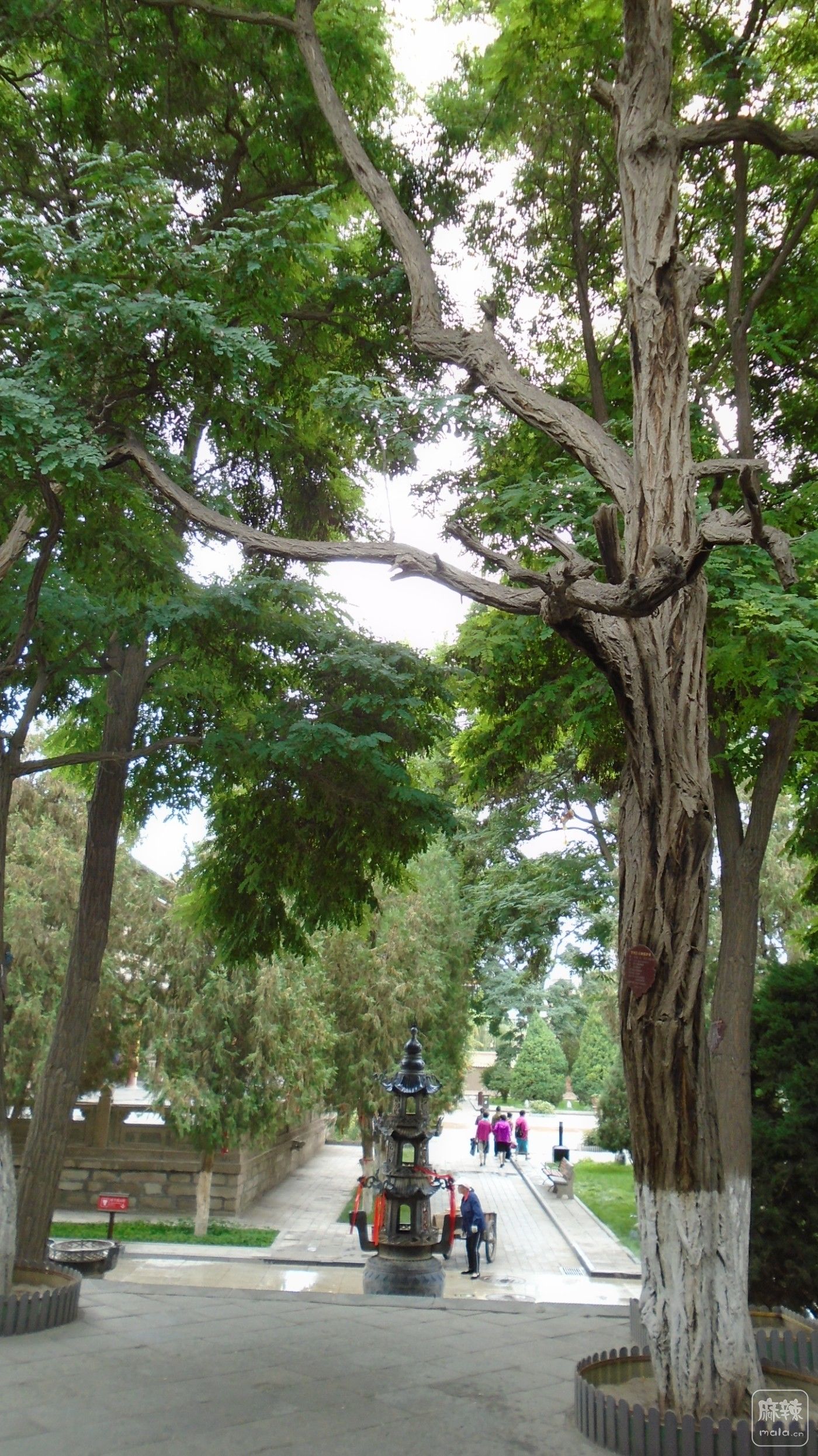 DSC01511.JPG