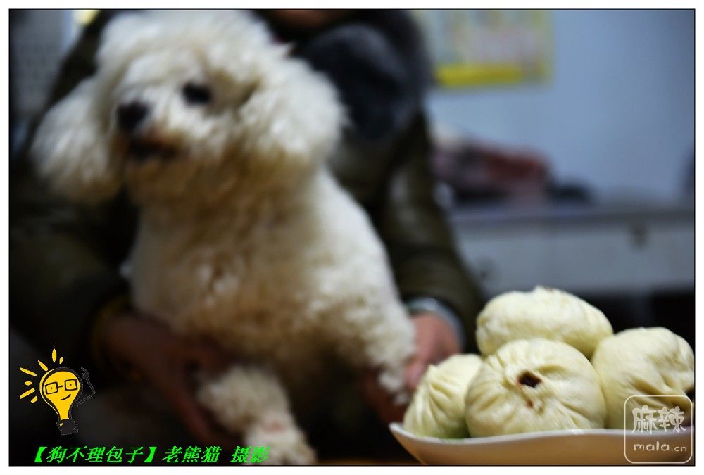 DSC_9178.jpg