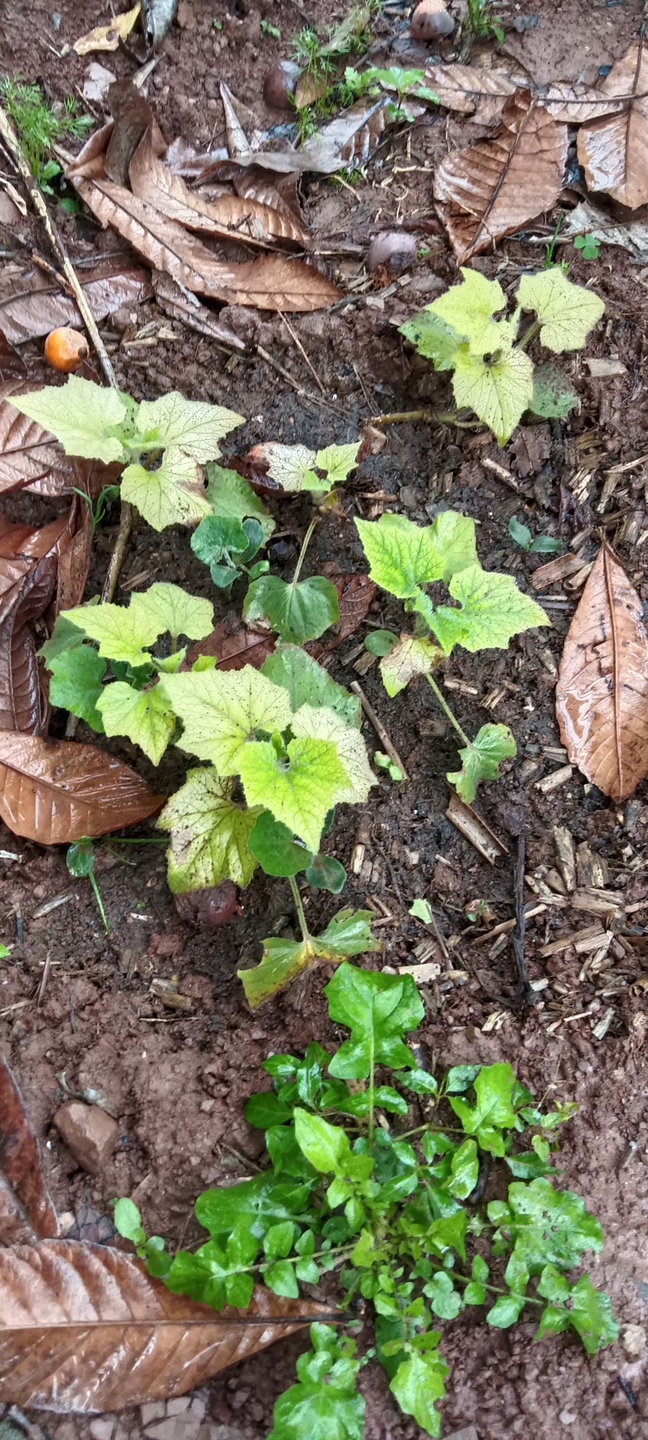 20260523095445front2_0_633876_FtcLxDzJ0Xx2J5Nv2euMRAaie2Cv.jpg