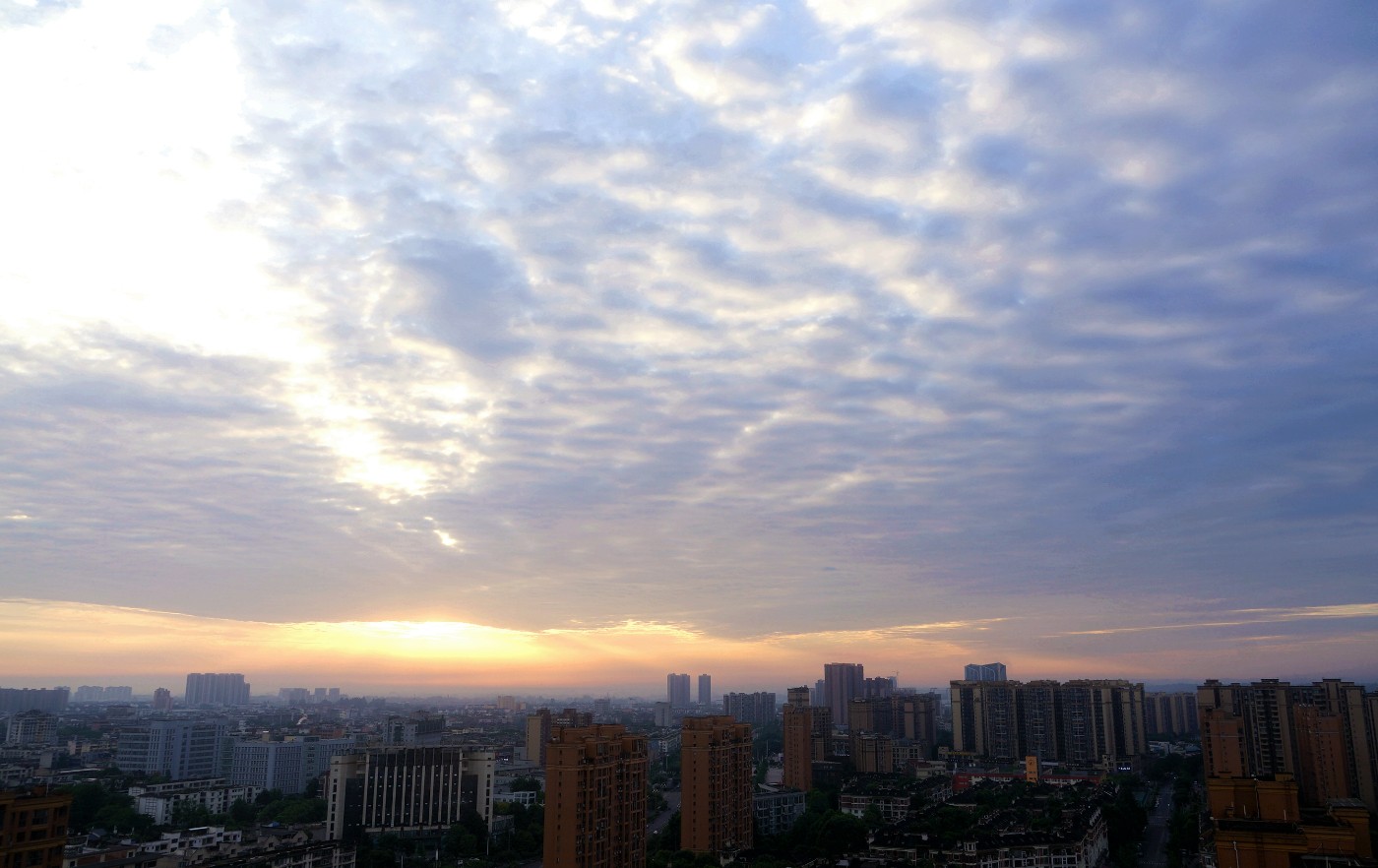 DSC08046_����.jpg