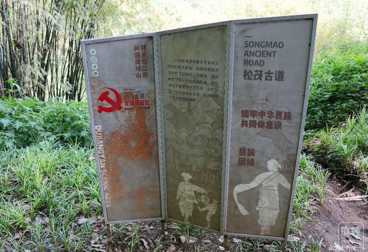 DSC04641_����.jpg