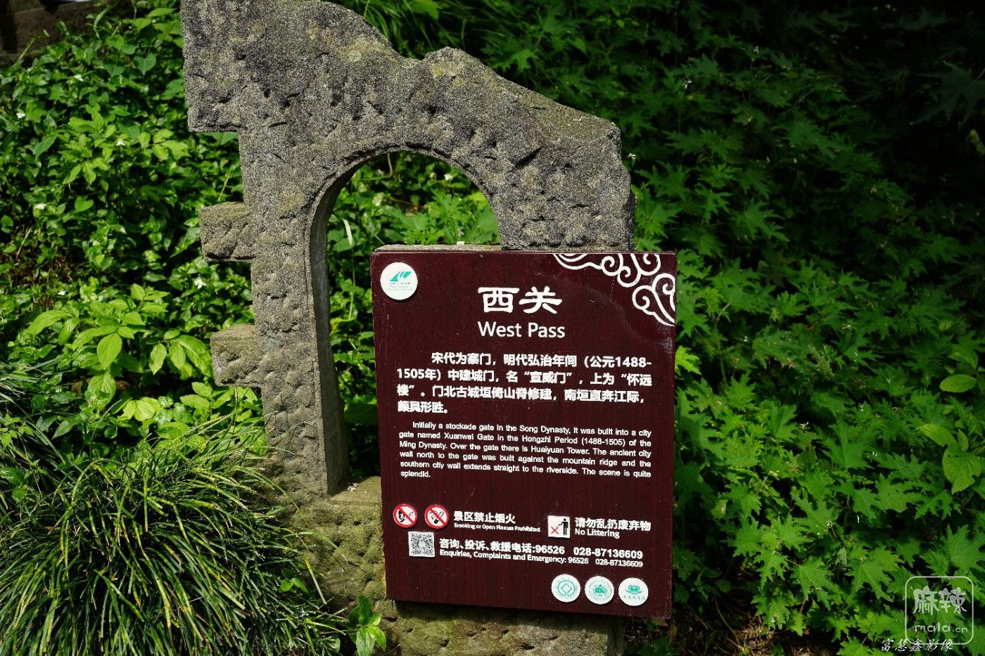 DSC04645_����.jpg