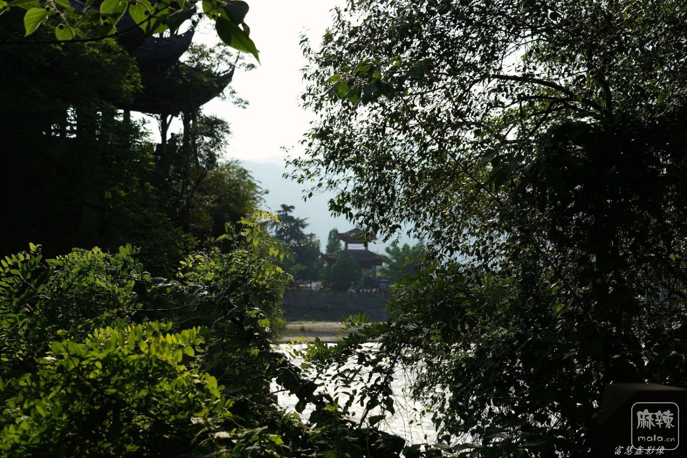 DSC04653_����.jpg
