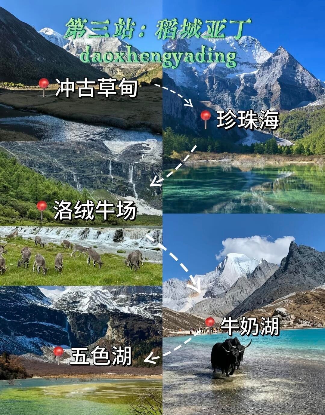 image_4.jpg