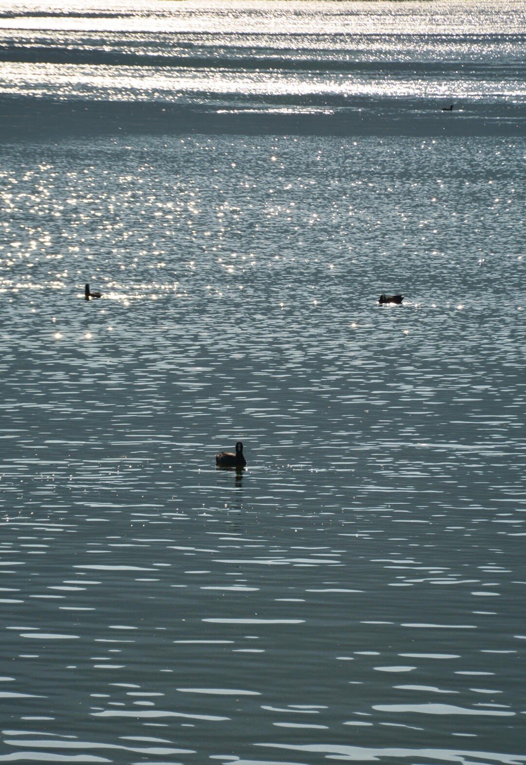 image_4.jpg