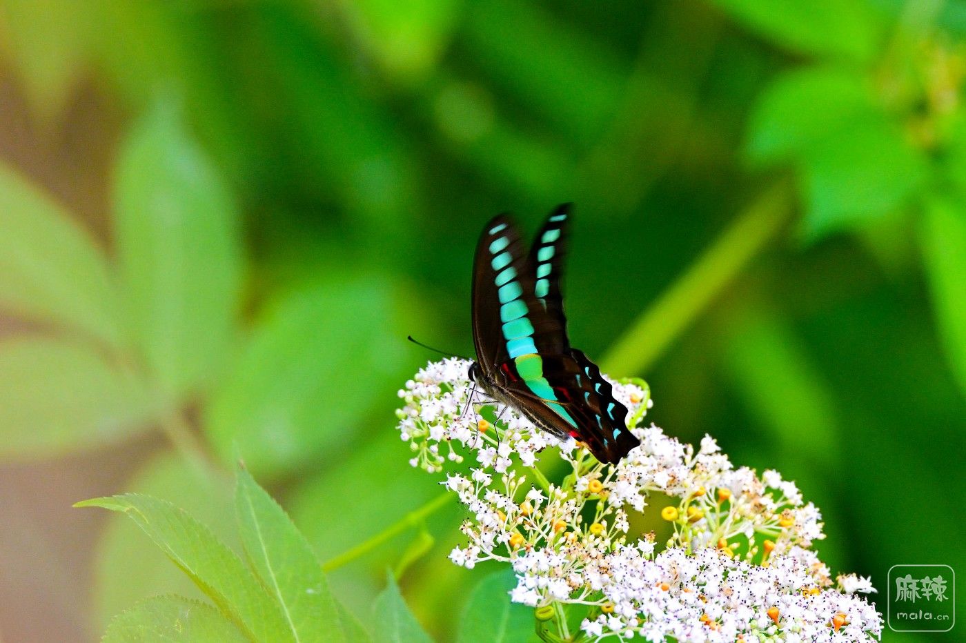 DSC_8824.JPG