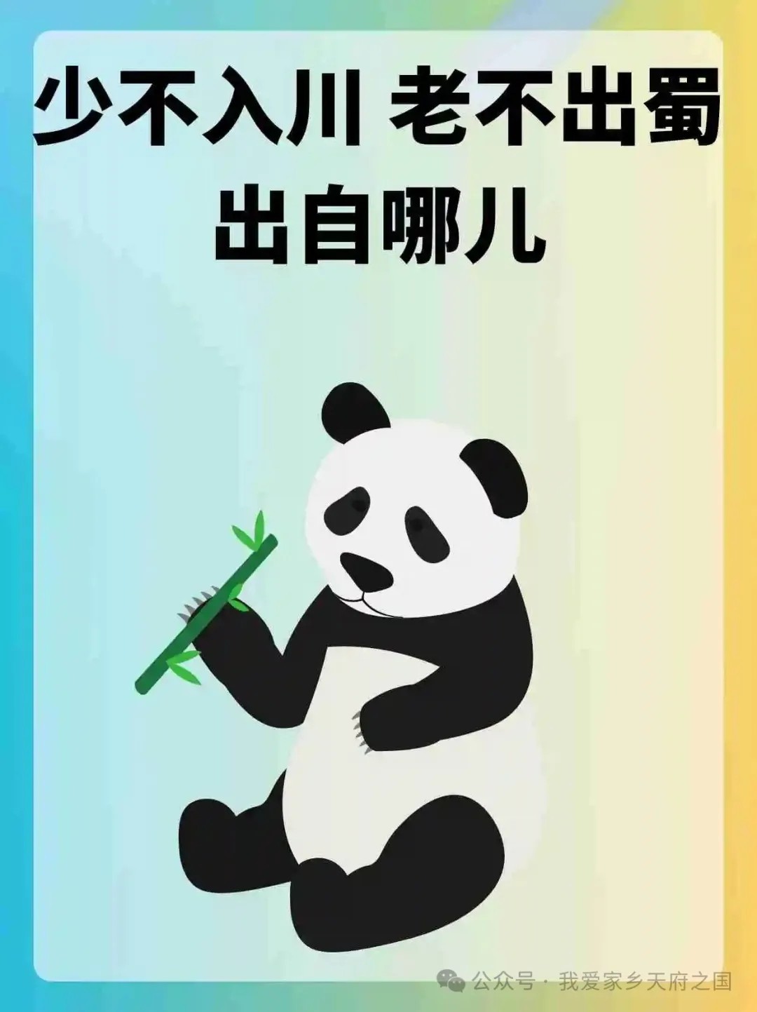 11.webp.jpg